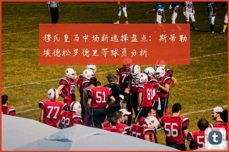 穆氏皇马中场新选择盘点：斯蒂勒埃德松罗德里等球员分析