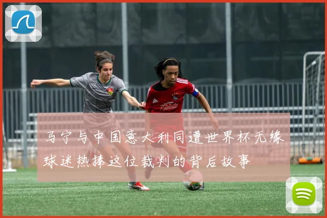 马宁与中国意大利同遭世界杯无缘球迷热捧这位裁判的背后故事