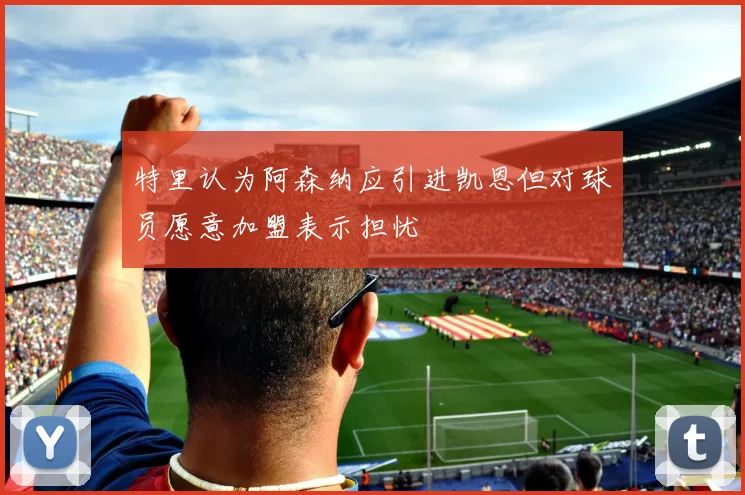 特里认为阿森纳应引进凯恩但对球员愿意加盟表示担忧