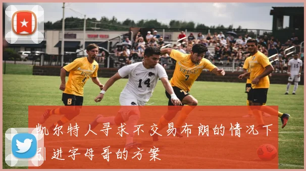 凯尔特人寻求不交易布朗的情况下引进字母哥的方案